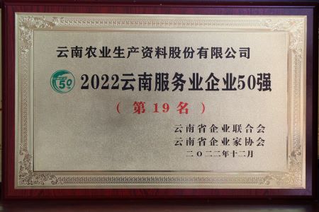 2022云南服務業(yè)企業(yè)50強第十九名