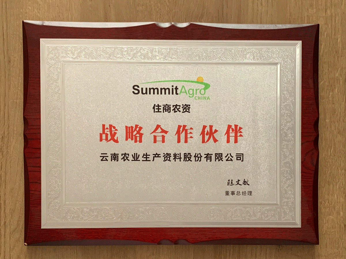韓國summit戰(zhàn)略合作伙伴
