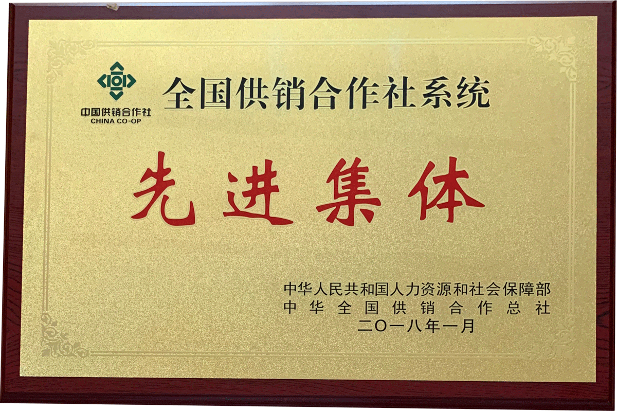 全國供銷合作社系統(tǒng)先進集體